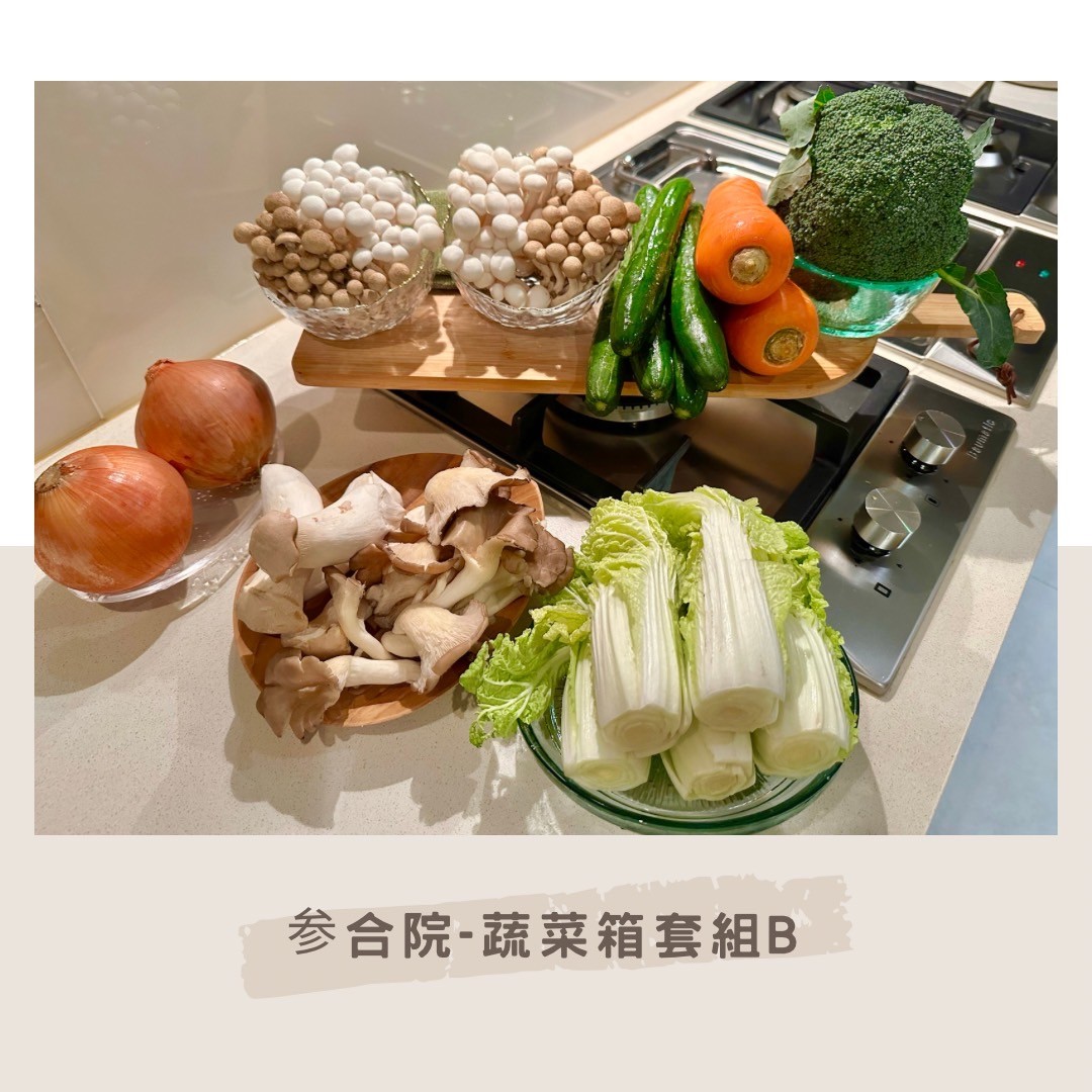 参合院-美安獨家飲食管理蔬菜箱（Ｂ套組）