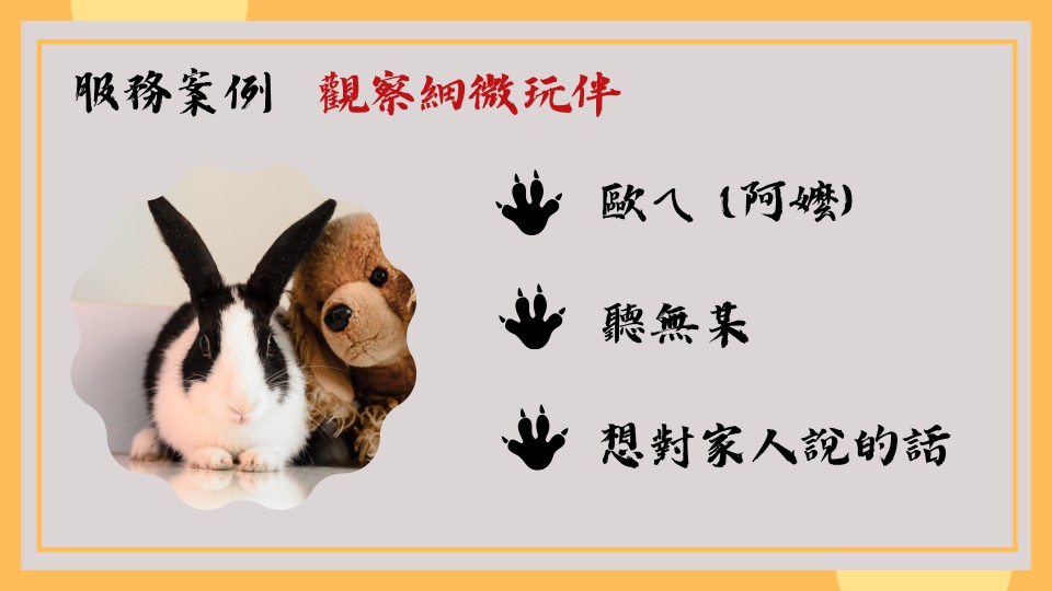 寵物溝通案例兔-淑媛老師