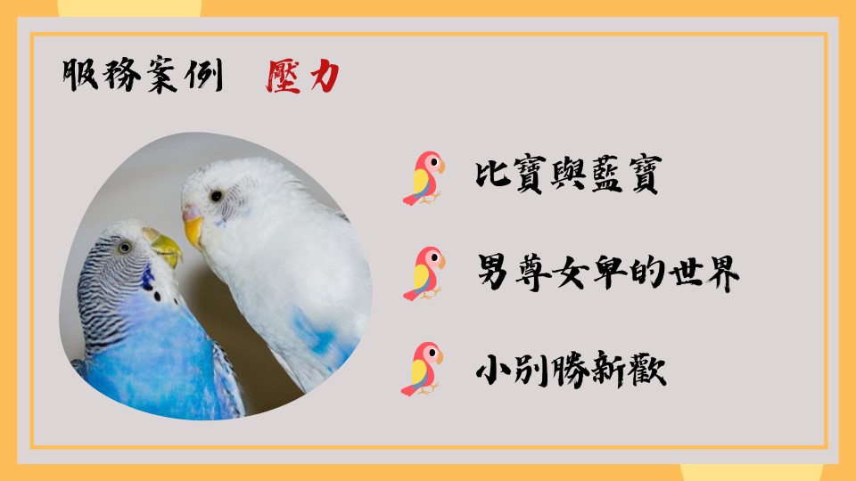 寵物溝通案例鳥-淑媛老師